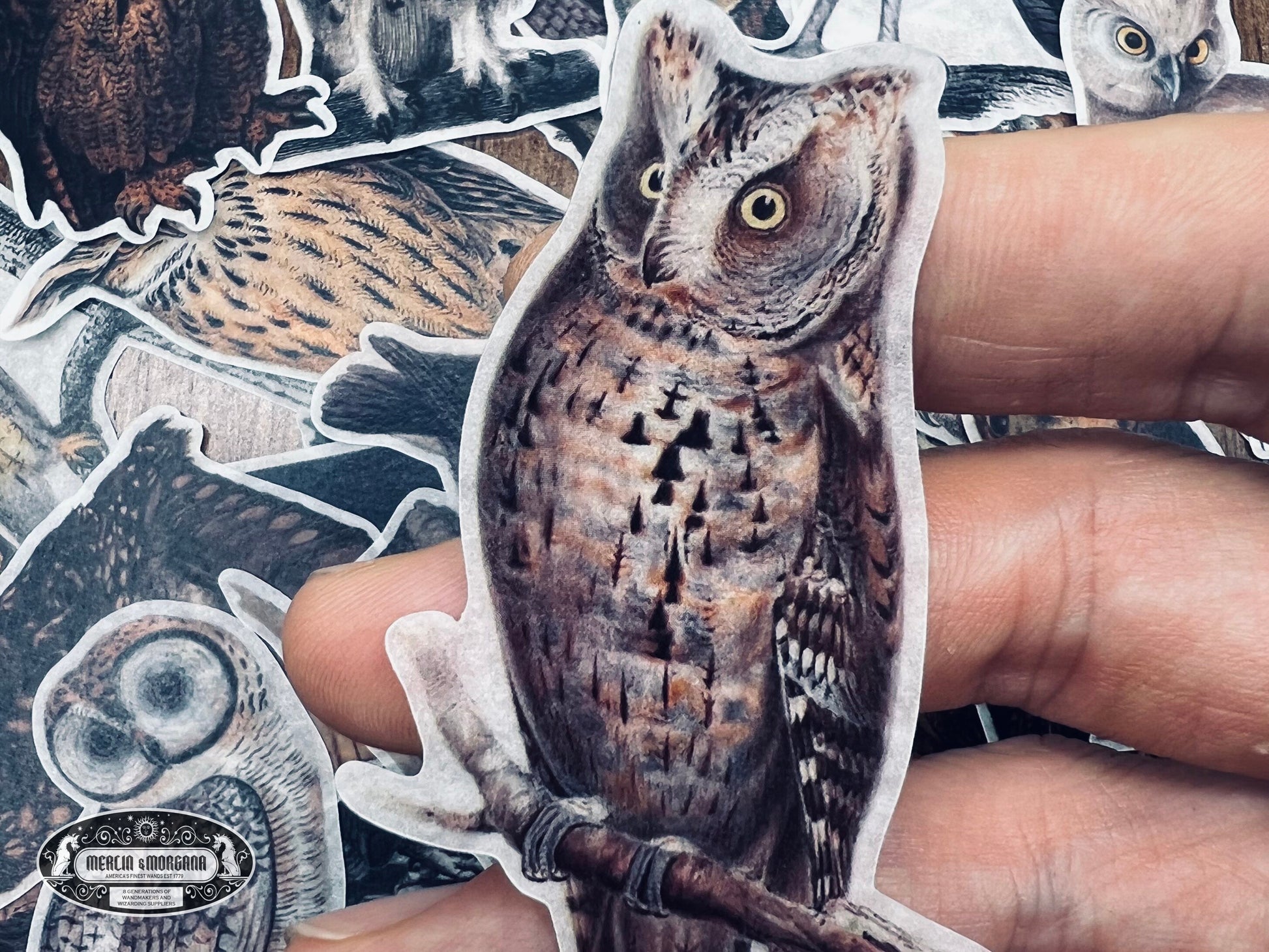 Owl Sticker Pack