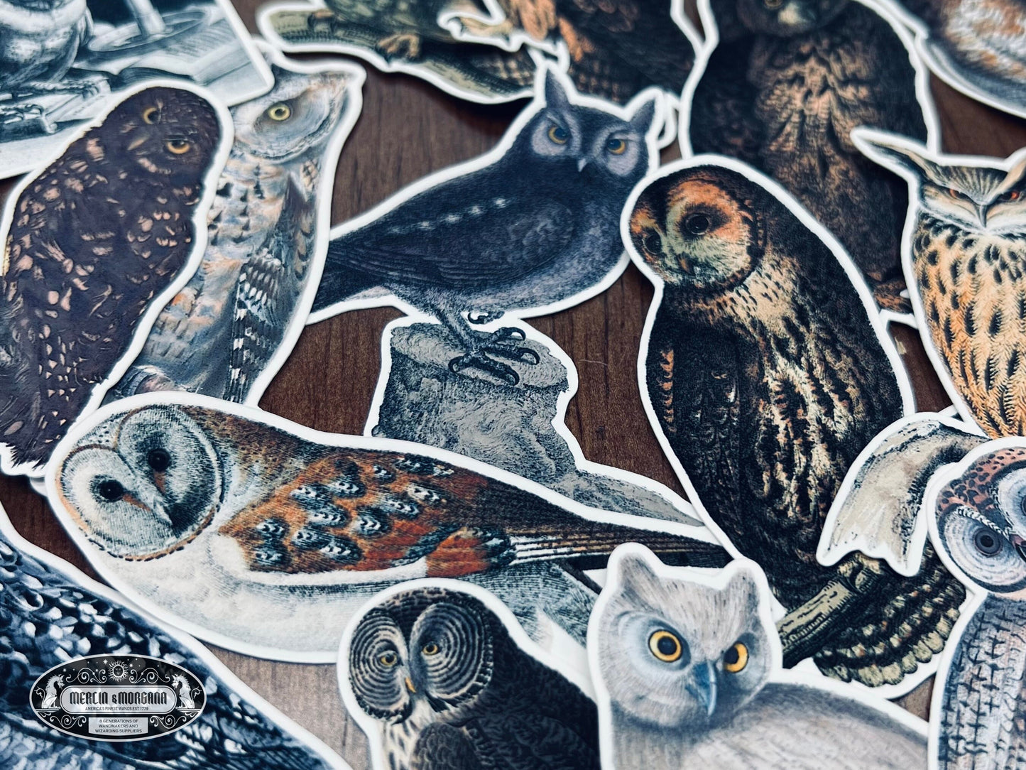 Owl Sticker Pack