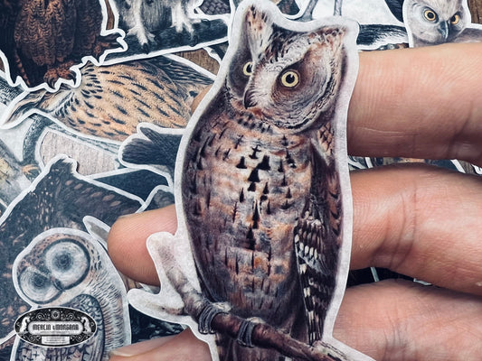 Owl Sticker Pack